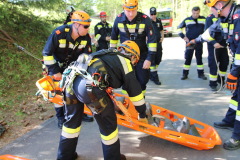 53651985532_d854039231_b