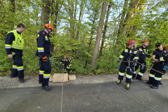 53651985732_0452f572a1_b