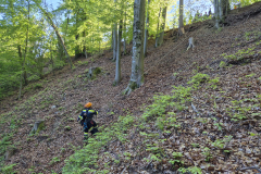 53651985967_fbe0eaaeb5_b