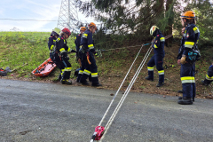 53652858181_4bce1e36d5_b