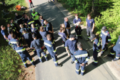 53653075728_6f06613d27_b