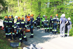 53653204904_e152fff060_b