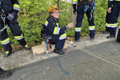 53653205159_a569067cb1_b