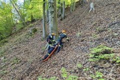 53653319440_0e3329d41c_b