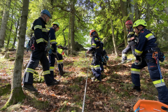 53709089516_7467d587c4_b