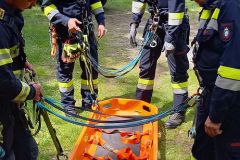 53709296738_9e5de7a790_b