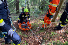 53709416299_33f3555ca1_b