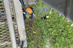 53709517720_4ec0df7063_b