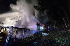 54433337791_3a08da083d_b