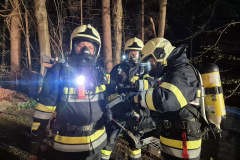 54433588953_5c0043e4fc_b