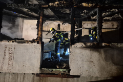 54433711645_1e2503a38d_b