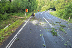 20250515_182524_resized