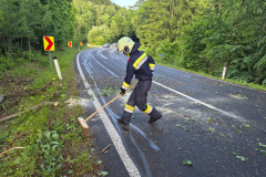 20250515_182650_resized