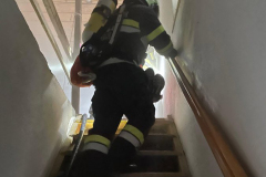 WhatsApp-Image-2025-05-29-at-11.21.00-1