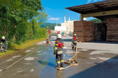 WhatsApp-Image-2025-05-31-at-19.08.46