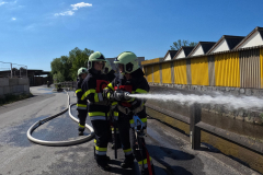 WhatsApp-Image-2025-05-31-at-19.08.47