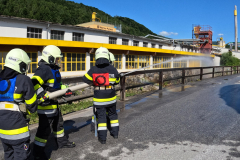 WhatsApp-Image-2025-05-31-at-19.08.48-1