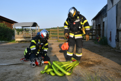 2025_06_06_Uebung-Brandeinsatz-FF-Nitscha_19