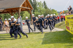 54593174271_95766b196d_o