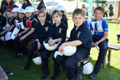 54593340403_0e0dd27b96_o