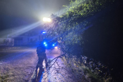 WhatsApp-Image-2025-06-25-at-11.53.39-1