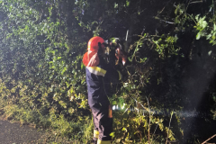 WhatsApp-Image-2025-06-25-at-11.53.39