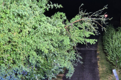 WhatsApp-Image-2025-06-25-at-11.53.40-1