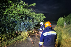 WhatsApp-Image-2025-06-25-at-11.53.40