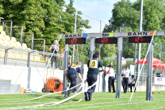 54633328837_674104bb91_o