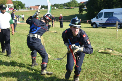 DJG_8931