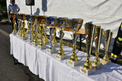 DJG_8955