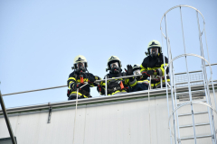 54841404446_fd1915f4a2_o