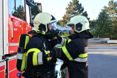 54841640109_3a586213be_o-1