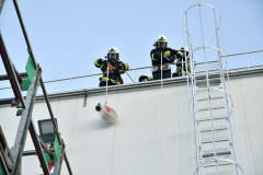 54841640829_f084c63686_o