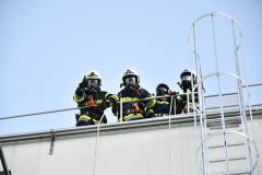 54841640869_1efa75abbf_o