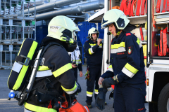 54841653123_e5c10a745d_o