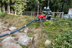 54849073522_804349f7a9_o