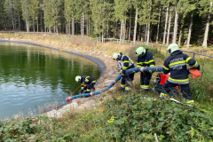 54849938626_6d8b356117_o