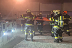 54908484351_1c12bd8fef_b