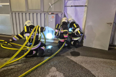 54908797100_fcaf6d6071_b