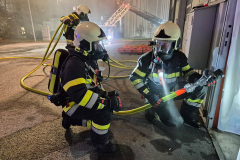 54908797125_eb17939888_b