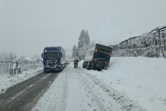 8ca308fa-7435-4f66-8e87-58bb11fd7a85