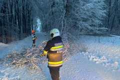 d6089ec1-ffc4-4842-981e-ea956febf4cd