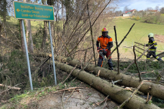 1d6a0873-9b81-4189-abae-83cc133a1d20