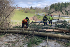 7cd73196-b8e5-4a94-a9db-c490fa4cfd76