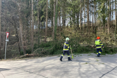 8a6ba2a7-6106-4d50-ad38-e0fce45c9282