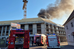 55193882801_f3988701d8_o