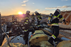 55194396951_b4ca1d67c8_o