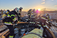 55194544203_0bedbcbb9a_o